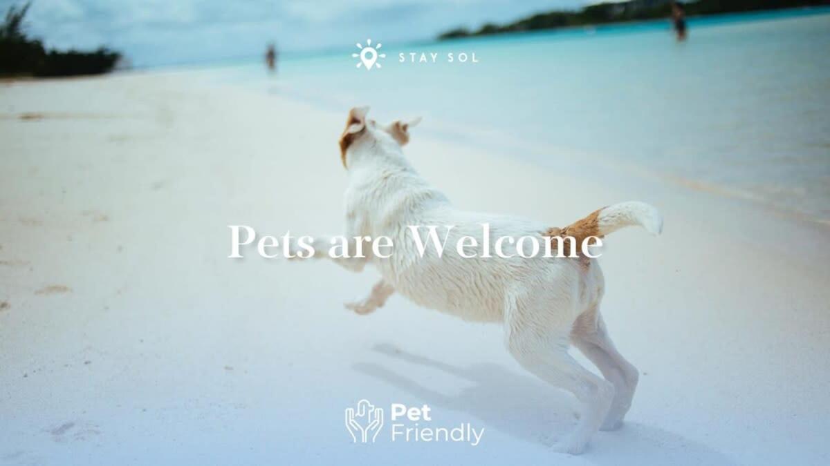 Best Stay - Rooftop Pool - Hollywood Beach Board - Walk Exteriör bild